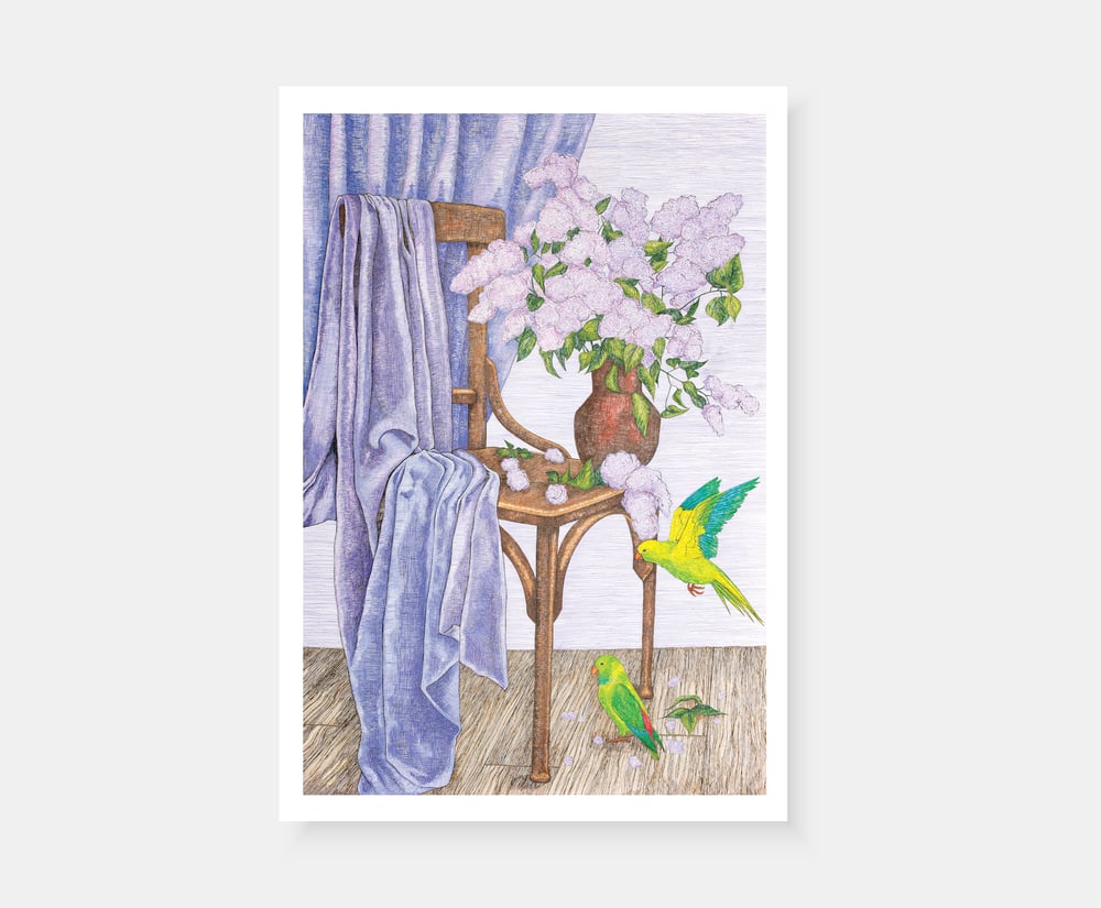 Image of The Lavender Curtain - Print