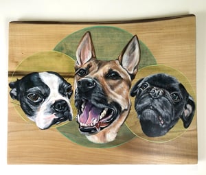 15" x 18" Pet Portrait