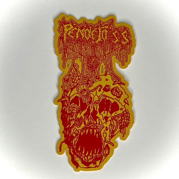 Image of Pendejo SS - The End Of The Beginning Woven Patch