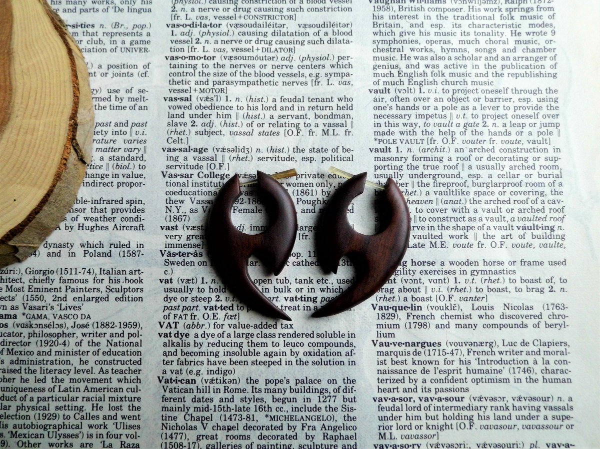 Tribal Wood Earrings Curved