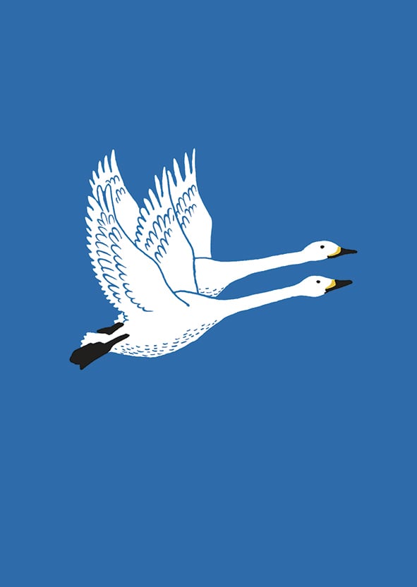 Image of Stockholm Archipelago - A5 Digital Prints