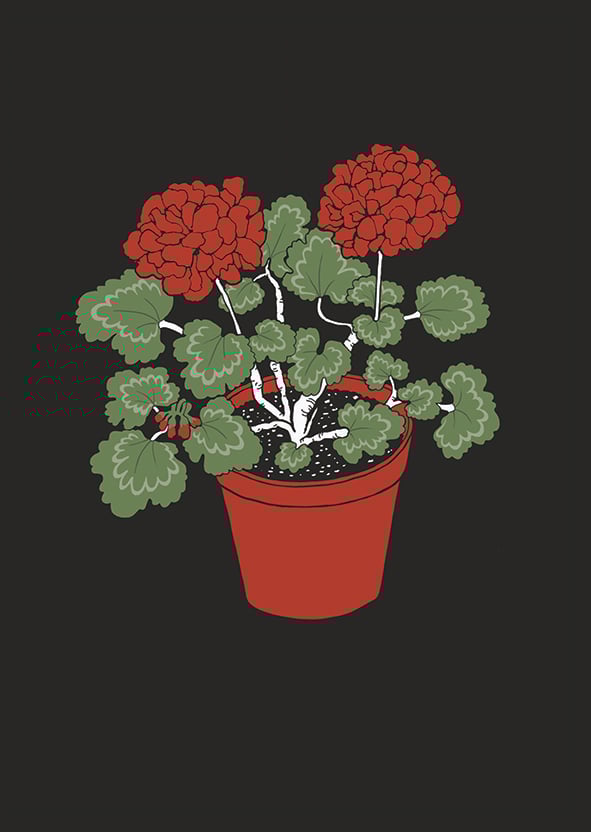 Image of Stockholm Archipelago - A5 Digital Prints