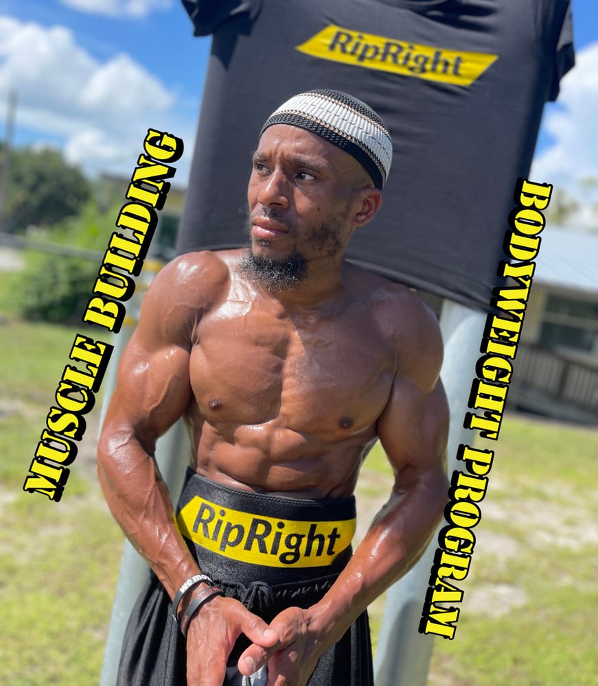 Image of 5 Video BEGINNER MUSCLE BUILDING CALISTHENICS PROGRAM (Digital Link)