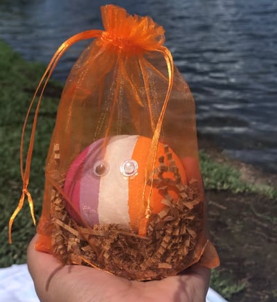 Image of Pet Rock