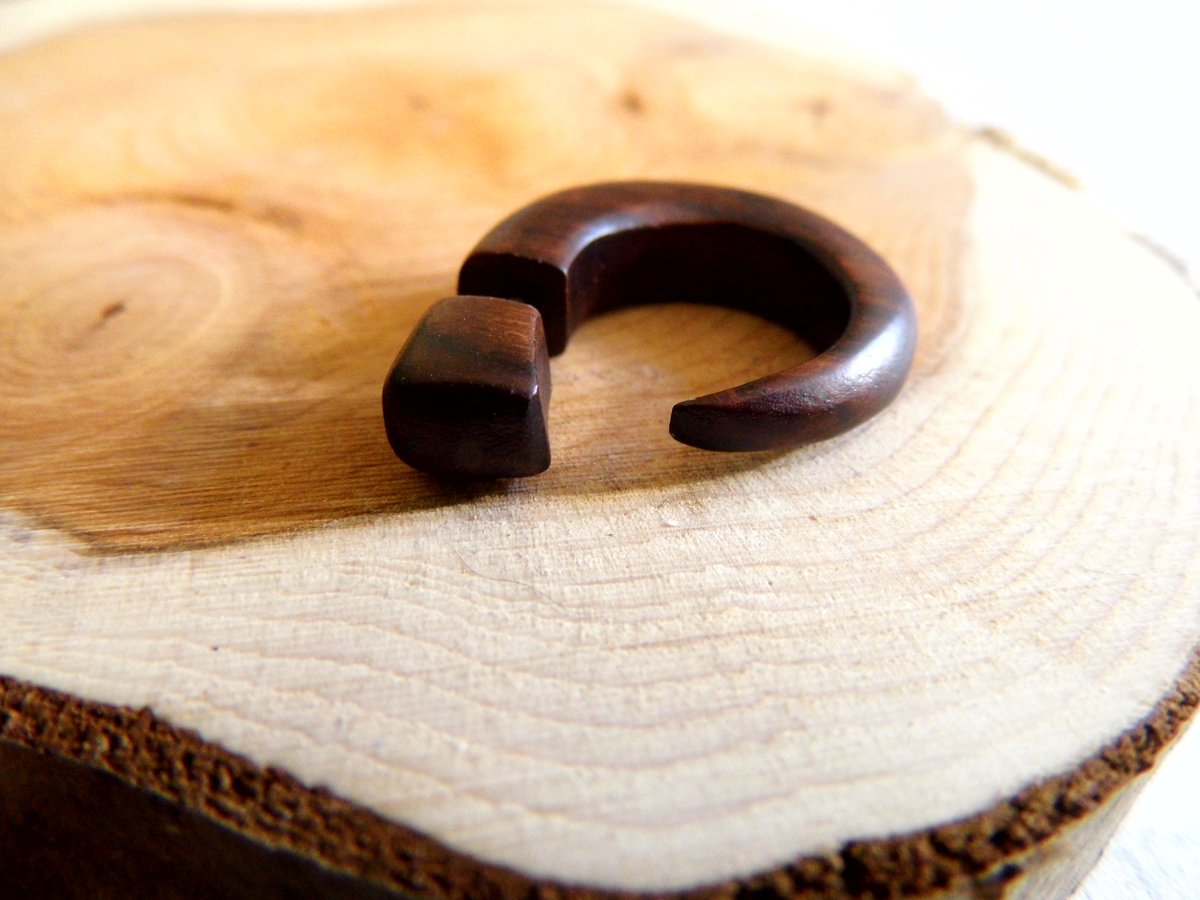 Fish Hook Faux Gauge Wooden Earring Unisex