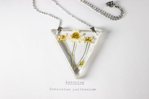 Image of Feverfew (Tanacetum parthenium) - Triangular Pressed Pendant #1