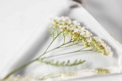 Image of Yarrow (Achillea millefolium) - Triangular Pressed Pendant #1