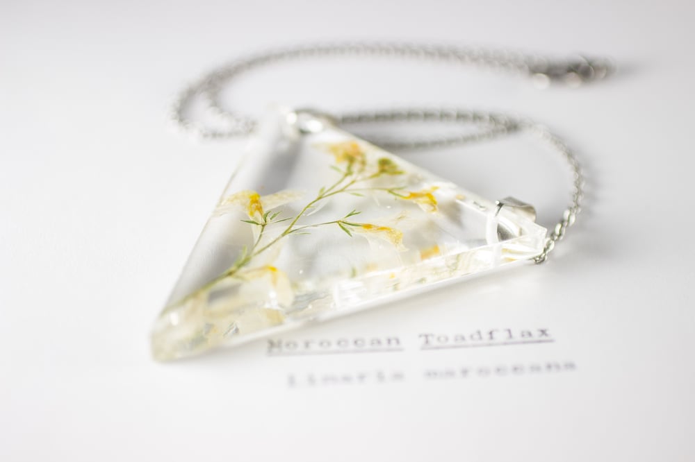 Image of Moroccan Toadflax (Linaria maroccana) - Triangular Pressed Pendant #1