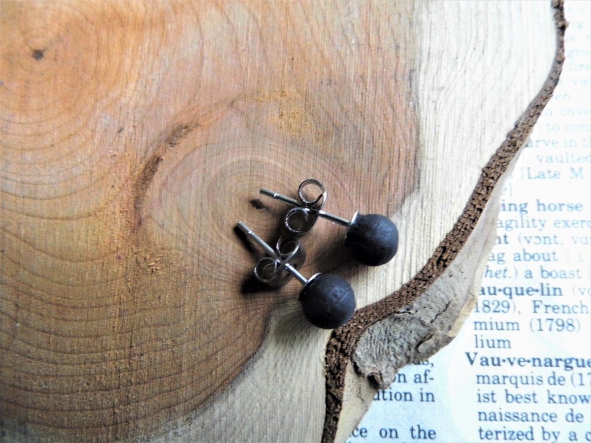 Round Black Wood Stud Earrings