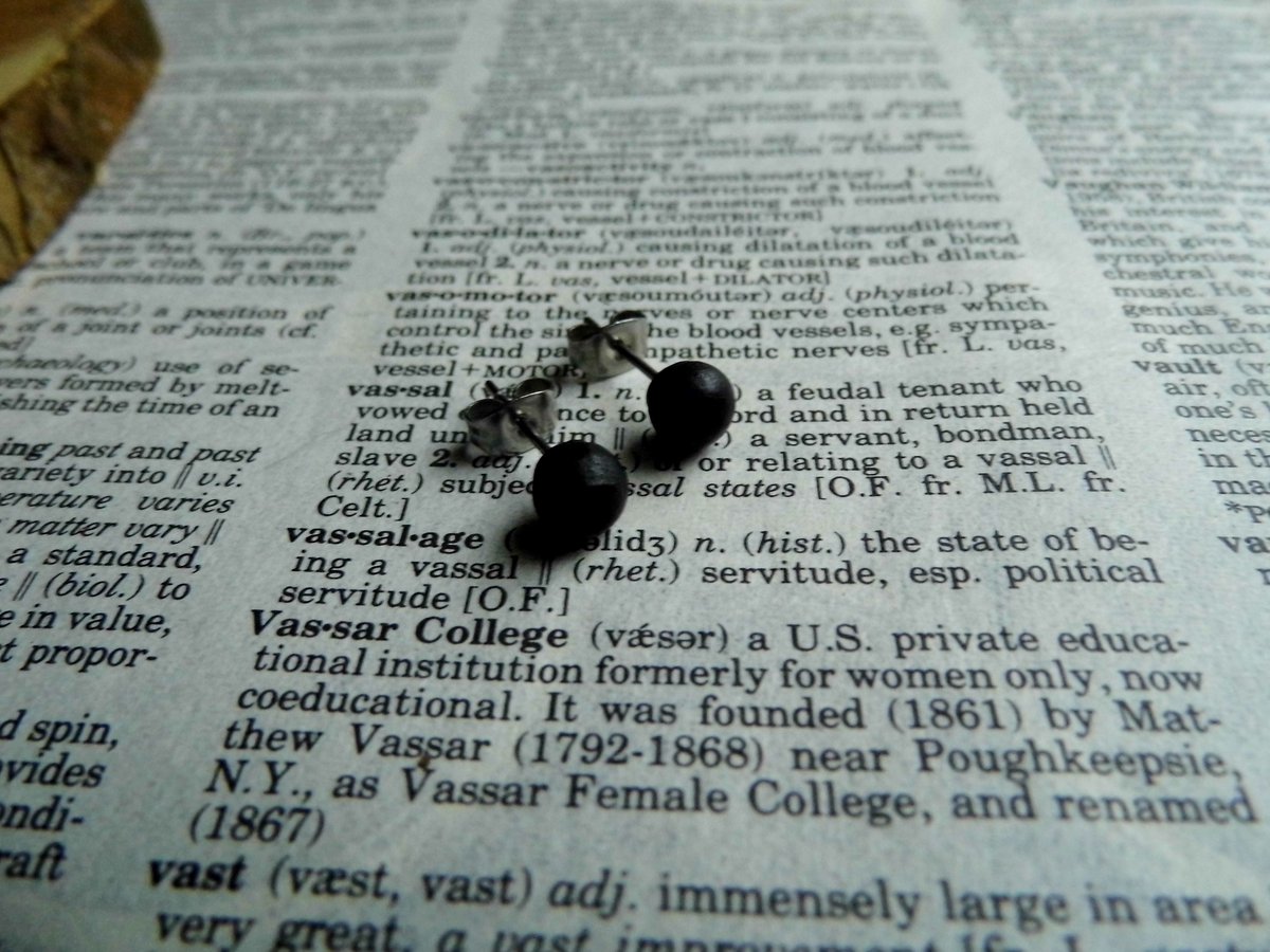 Round Black Wood Stud Earrings