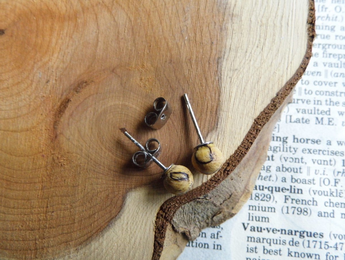 White Zebra Wood Stud Round Earrings