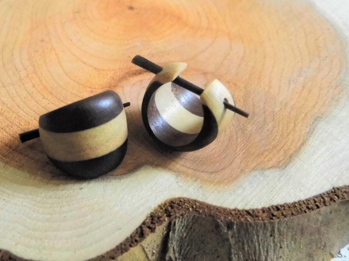 Striped Wooden Earring Huggies Hoops Creole