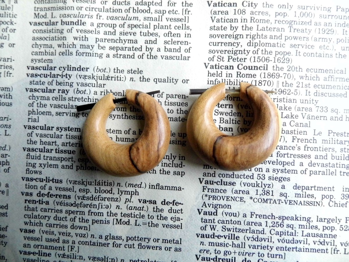 Stunning Olive Wood Hoops Earrings Womens