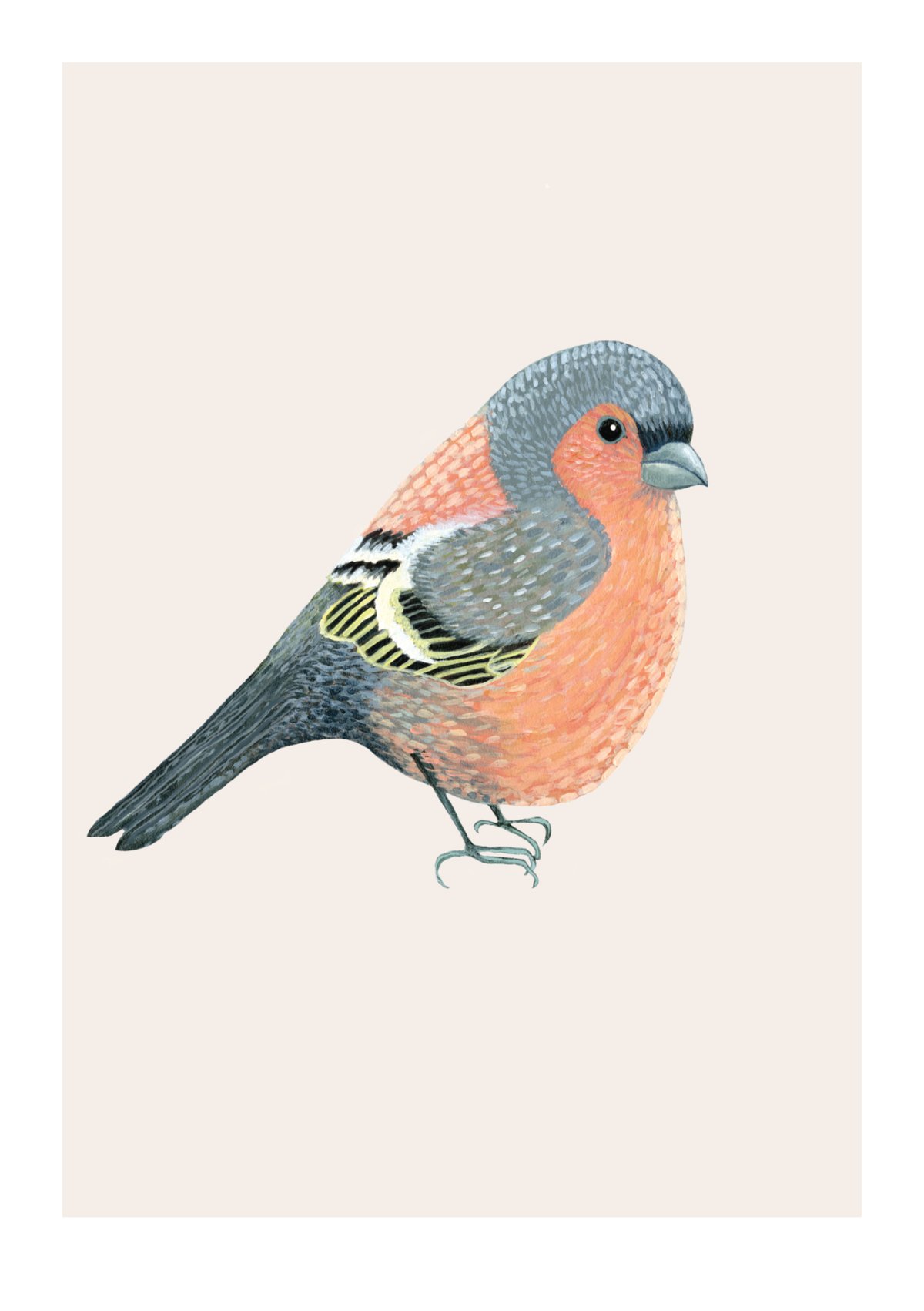 Chaffinch Print