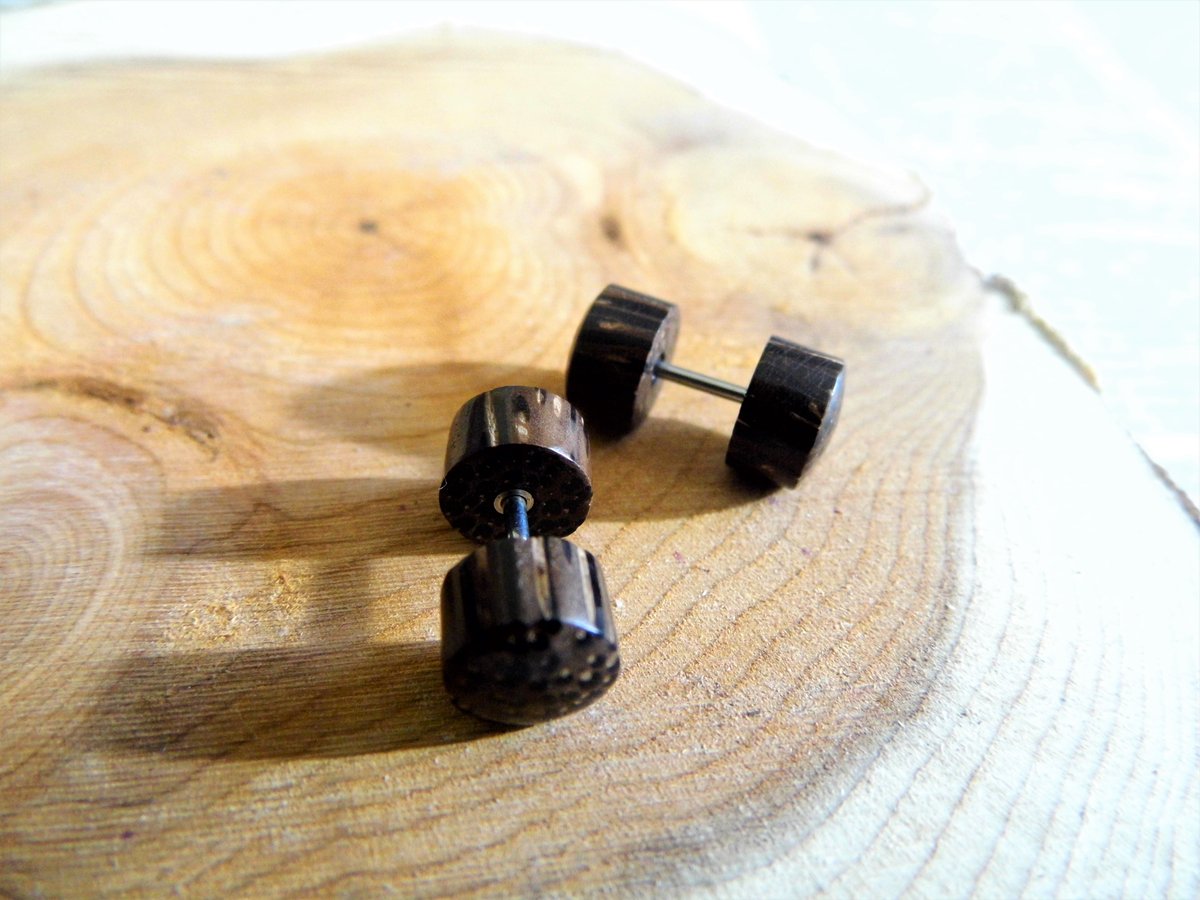 Pair Coco Wood Earring Studs Faux Plugs