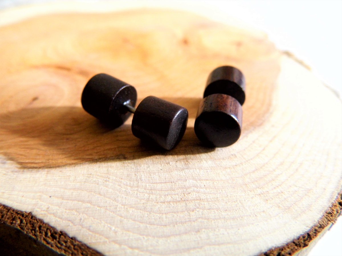 Pair Brown Wooden Earrings Studs Faux Plugs