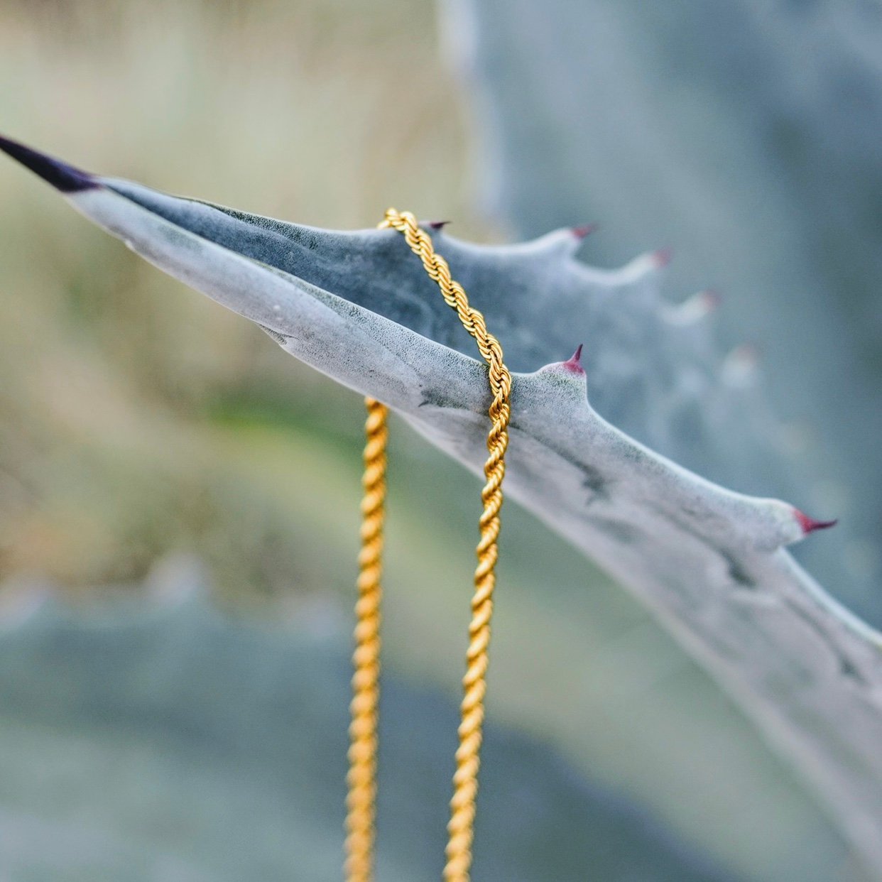 Bust Down Gold Rope Chain Bust Down Customs