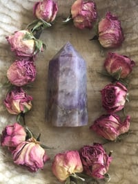 Image 5 of Dream Amethyst Tower Selection 1