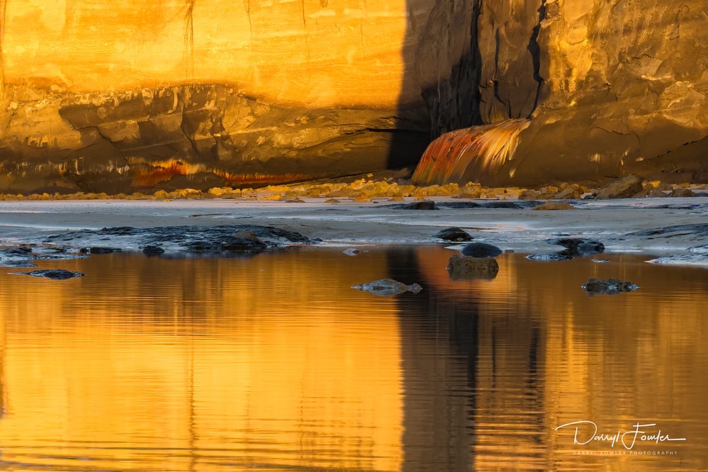 Image of Golden Reflection