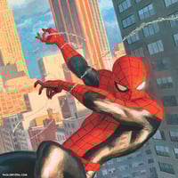 Image 2 of The Amazing Spider-Man #646 Variant