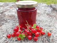 Image 5 of Gooseberry & Redcurrant Jam