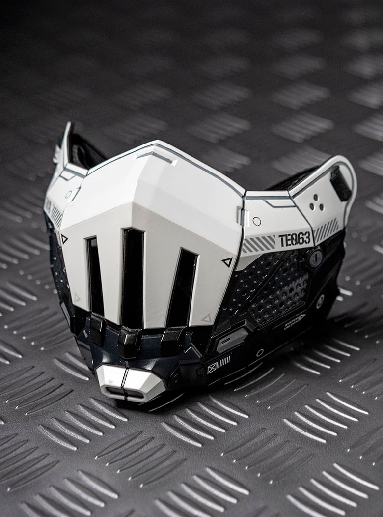 Image of TEQ63 TACTICAL HALFMASK PREORDER