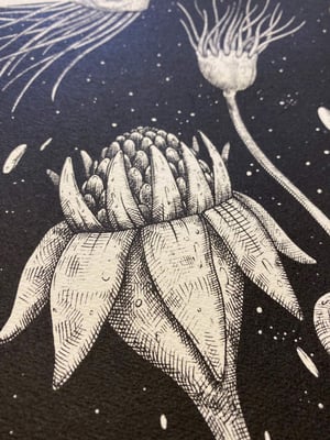 Image of LUCA LEDDA | UnderWaterLove | print edition