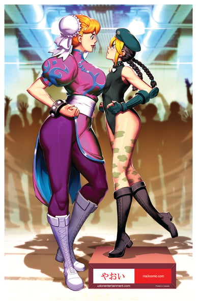 Image of DiDi & Zii StreetFighter-style 11x17 poster