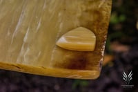 Image 1 of 10mm 'CREME BRULEE' ANVIL plectrums (Casein)