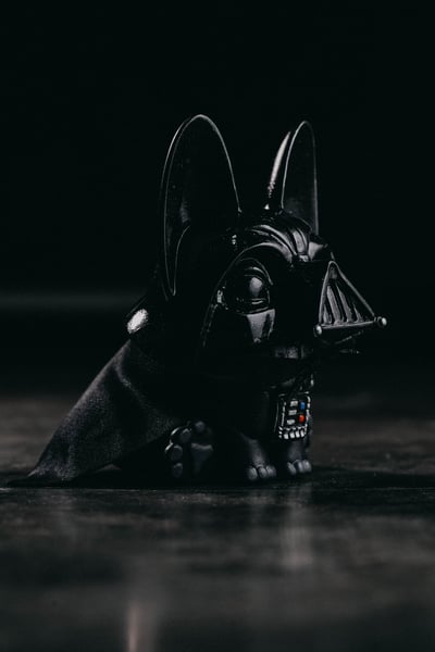 Image of Gwen Vader