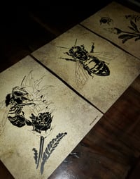 "Honey Bee" Art Print Pack