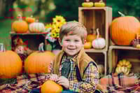Image 5 of Pumpkin Minis 2025