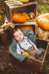 Image 4 of Pumpkin Minis 2025