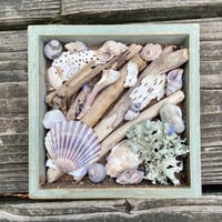 Image 1 of Beach Box #3