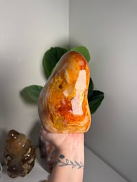 Image 1 of XL ORBICULAR CARNELIAN FREEFORM -MADAGASCAR-