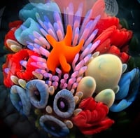 Image 5 of XLARGE "MY HEART BELONGS TO THE SEA" ANATOMICALLY CORRECT HEART PENDANT 33