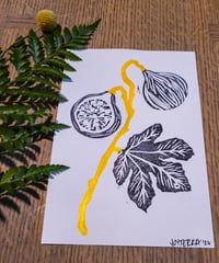 Fig Print