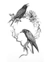 CAUDA CORVUS Original Artwork