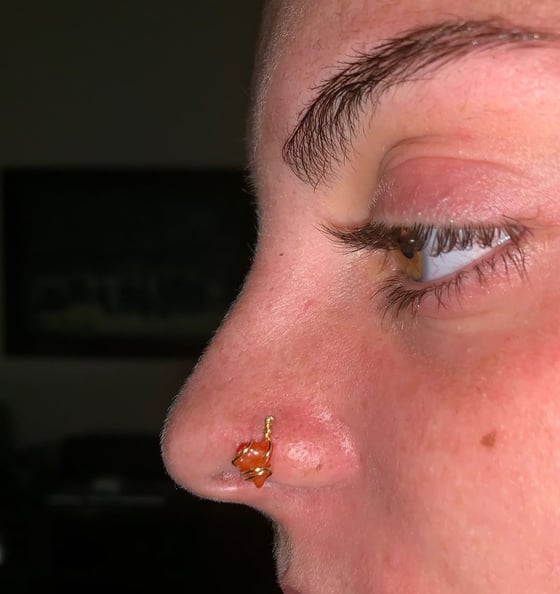 Image of The carnelian nose ring 