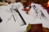 Image 1 of Freedom & Blossom Me Print Pack A4