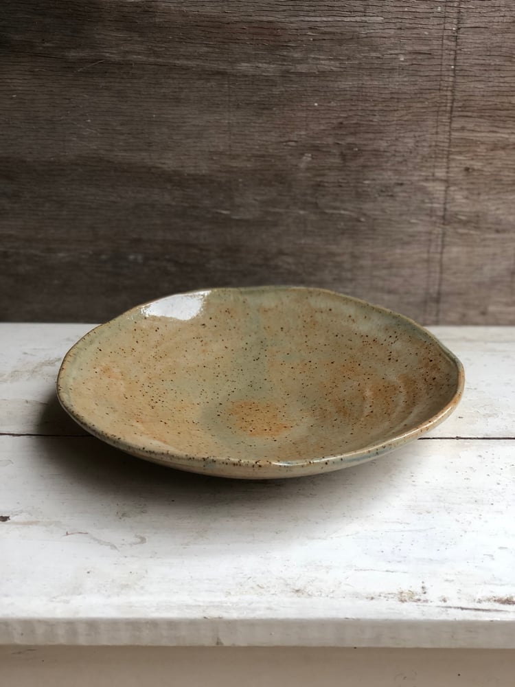 Image of shallow dish in speckled sage