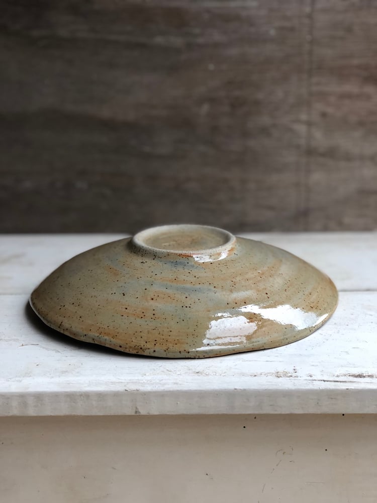 Image of shallow dish in speckled sage