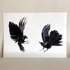 ‘Pair of Crows’ - limited edition Giclee print(s)