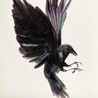 Image 4 of ‘Pair of Crows’ - limited edition Giclee print(s)