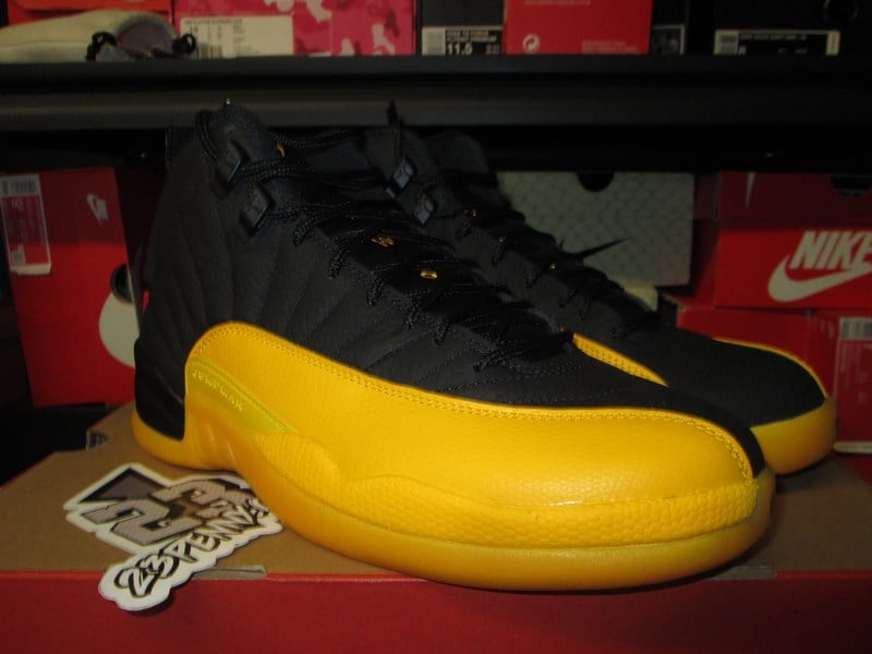 jordan 12 retro university