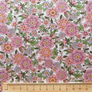 Image of RAZAI ( A )