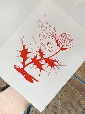 "Desvelos" x Melissa Olivares