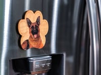 Image 2 of German Shepherd Magnet