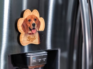 Image of Beagle Magnet