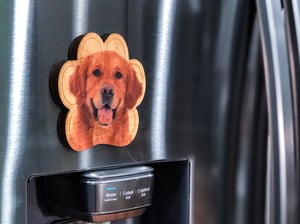 Image of Golden Retriever Magnet